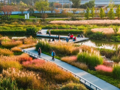 秋光為伴，我們與張村河共繪新景